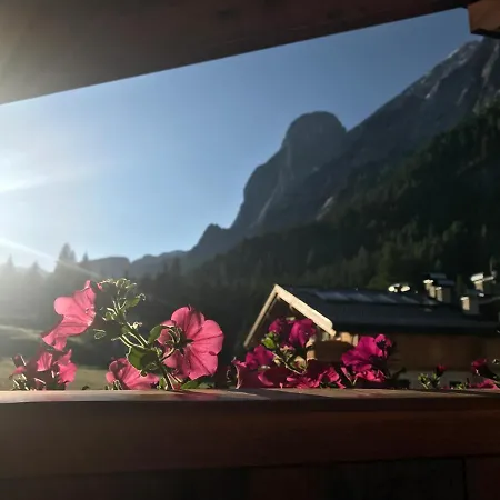 Cesa Mandi E Miky Apartment Canazei