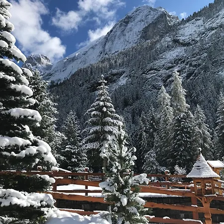 Cesa Mandi E Miky Apartment Canazei