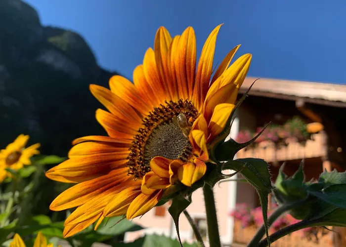 Apartmán Cesa Mandi E Miky Canazei